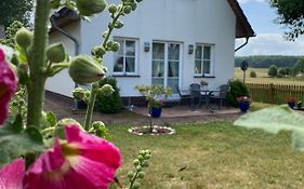 Ferienhaus Blütentraum in Binz auf Rügen